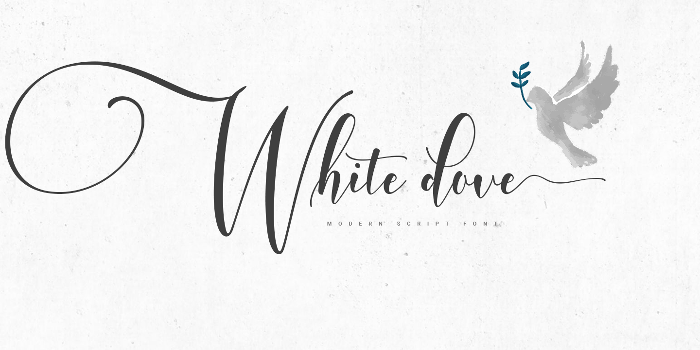 Пример шрифта White Dove Script